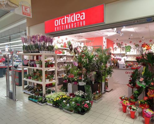 Kvetinárstvo Orchidea - Kaufland